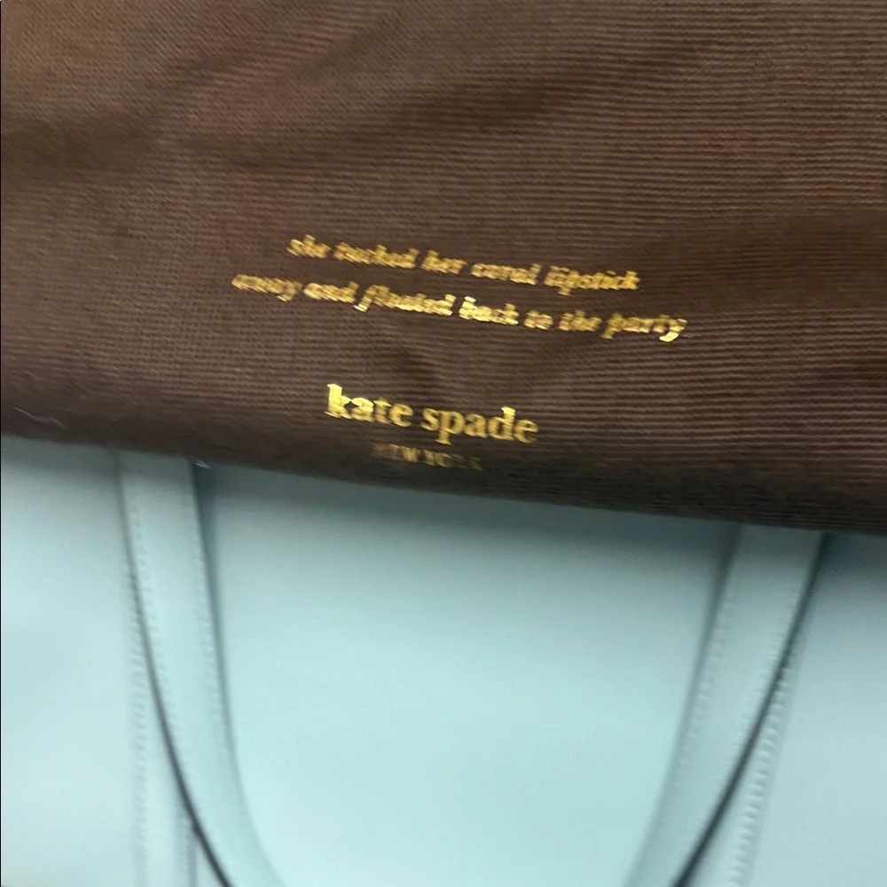 Kate Spade Sky Blue XL Tote Bag